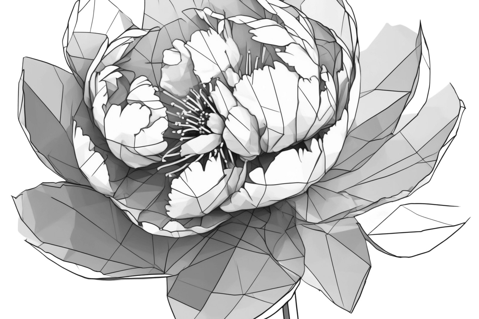 Floral