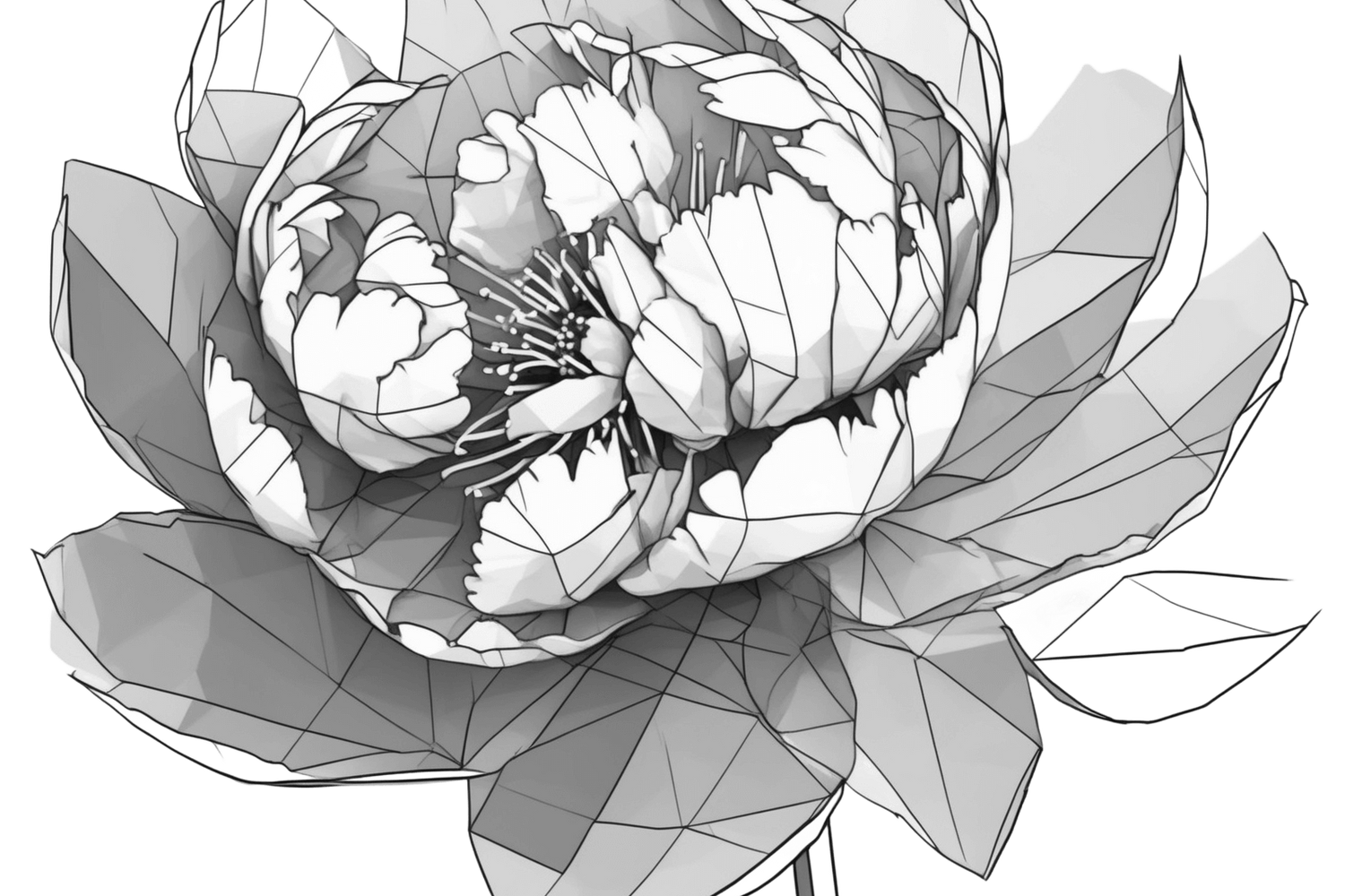 Floral