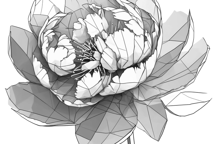 Floral